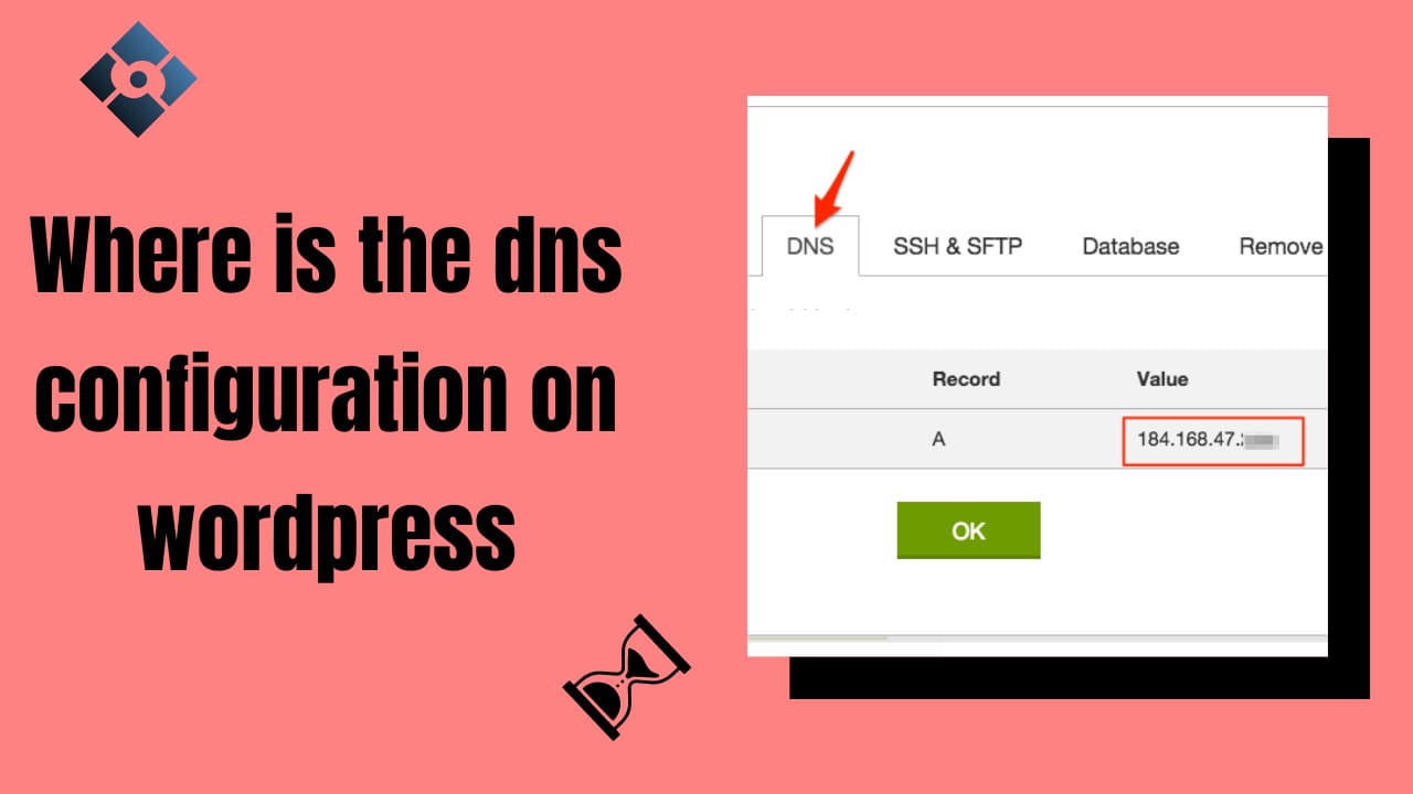 where is the dns configuration on wordpress
