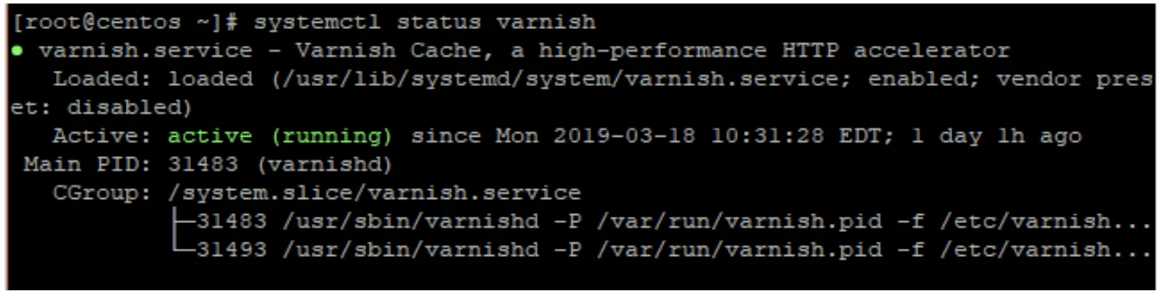 varnish running after installation