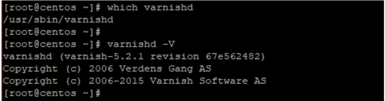 varnish version check