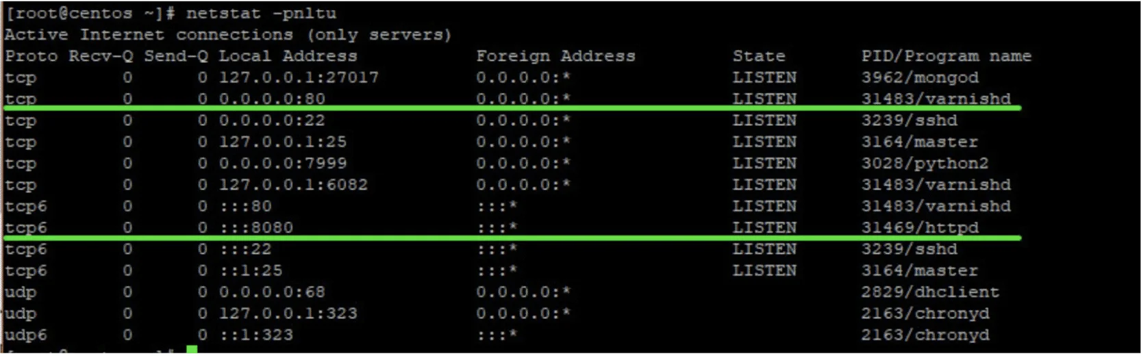 netstat after varnish install