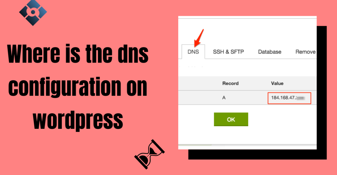 where is the dns configuration on wordpress