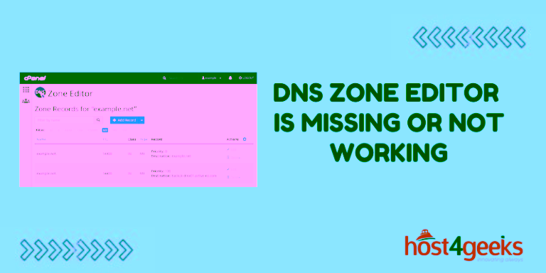 DNS Zone Editor Is Missing or Not Working