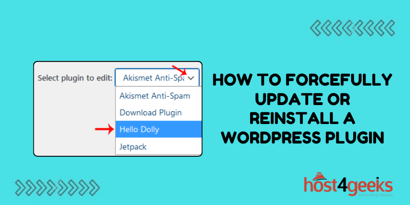 How To Forcefully Update Or Reinstall A WordPress Plugin | Host4Geeks LLC